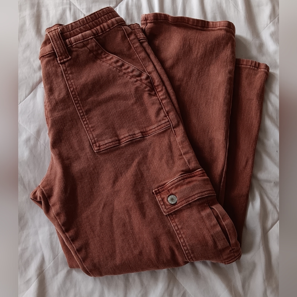 Vervet Cargo Pants - Brick 31"